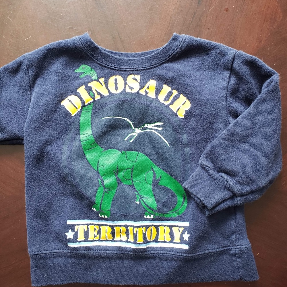 Dinosaur territory sweatshirt